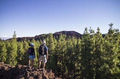 Otra de las rutas del festival es la de Montañeta - Chinyero - Santiago del Teide. Esta caminata cruza una de las áreas de vulcanismo más reciente de la isla, donde se pueden pisar las cenizas del Volcán de Chinyero, el último que entró en erupción en Tenerife, en 1909, y ya se ven los primeros signos de vida renaciendo entre la lava como un milagro.