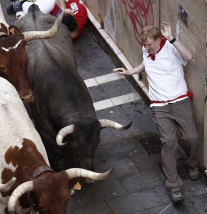 Toros de la ganadería de José Escolar Gil durante el tercer encierro de San Fermín 2016.