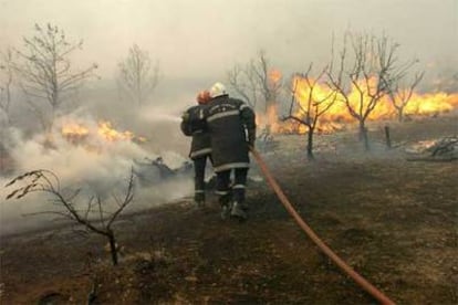 Las llamas han arrasado unas 700 hectáreas de bosque. En la imagen, las tareas para controlar las llamas.