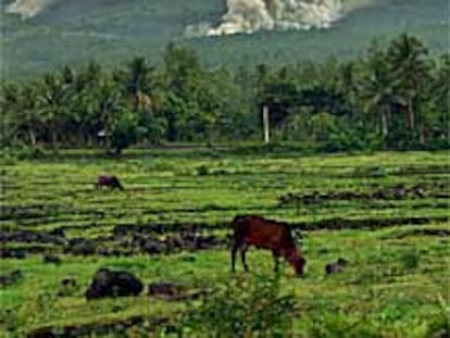 Casi 20.000 personas han abandonado sus casas a causa de la erupción del Mayón.