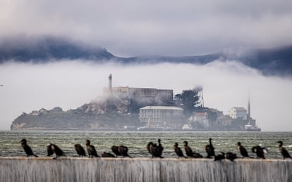 La isla de Alcatraz vista desde Treasure Island en San Francisco, California, en septiembre de 2024.