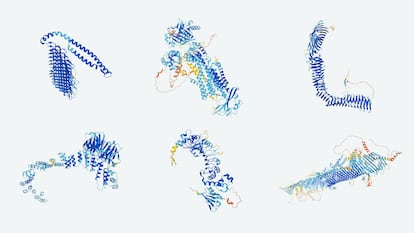 Protein structures predicted by the AI system AlphaFold.