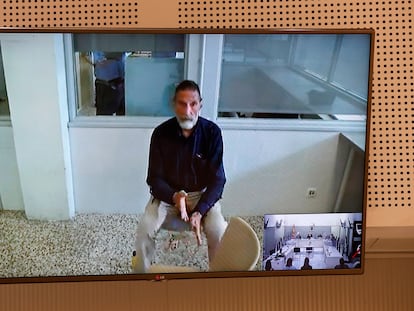 John McAfee, en su declaración por videoconferencia en la Audiencia Nacional el 15 de junio.