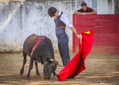 Pablo Aguado toreando en Zacatecas el pasado martes.