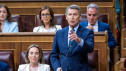 Alberto Núñez Feijóo, durante su pregunta a Sánchez, este miércoles en la sesión de control.