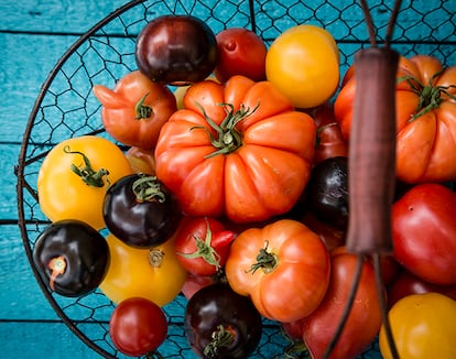 Different heirloom tomatoes in a wire basket