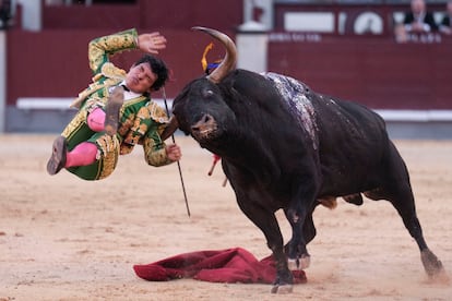 El torero mexicano Isaac Fonseca, prendido por la espalda por el sexto toro de la tarde.