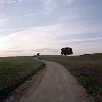 Camino casa del monte, de la serie Un lugar de la Mancha. 2007