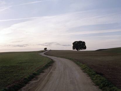 Camino casa del monte, de la serie Un lugar de la Mancha. 2007