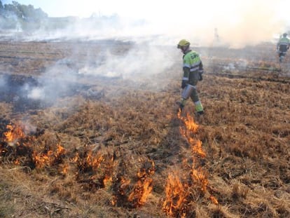 El grup de prevenció d'incendis forestals crema l'arrossar de Palau-sator.