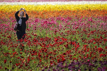 Una mujer en un campo floreado en California.
