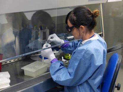 Una cient&iacute;fica prepara muestras de mosquito para la prueba del zika en un laboratorio de Florida, el jueves. 