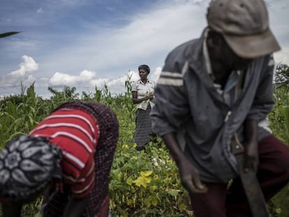 Formación para agricultores en Gakindo (Ruanda).