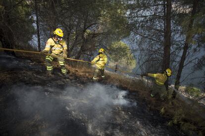 Efectivos del Plan Infoca trabajan en la extinción de un incendio declarado  en el término municipal de Nerva (Huelva).