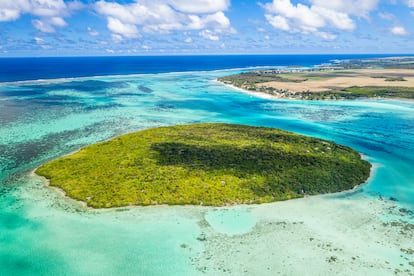 Isla de los Aigrettes, Mauricio. En el sureste de la isla Mauricio, a 800 metros de la costa de la isla principal, en los confines de una laguna, aparece la diminuta isla de los Aigrettes, de 26 hectáreas. Vigilada por la Fundación de Vida Silvestre de Mauricio, conserva un antiguo bosque de ébano y especies de vida silvestre en peligro de extinción: así debía ser Mauricio antes de que llegaran los primeros colonos en el siglo XVI. 
Al llegar en un viaje corte en barco desde Mahébourg, en Île aux Aigrettes da la bienvenida una estatua de bronce de un dodo, y eso no es casualidad. Este pariente gigante de la paloma alguna vez estuvo muy extendido en Mauricio, pero era regordete y manso y no pudo resistir la matanza de los marineros holandeses que acabaron con el ave a las pocas décadas de su llegada; el último avistamiento confirmado fue en 1660. Desde entonces, el dodo se ha convertido en un símbolo de extinción. En respuesta, Mauricio decidió hacerse reconocido por las aves que ha salvado. Al eliminar las plagas y los depredadores no nativos de Île aux Aigrettes y otros sitios seleccionados, el gobierno local, en colaboración con la Mauritian Wildlife Foundation, ha tenido un éxito notable: un estudio de 2007 certificó que Mauricio había retirado más especies de aves (cinco) del borde de la extinción que cualquier otro país; una de las mayores historias de éxito de conservación en cualquier parte del Índico. Las visitas a la isla son fáciles de organizar, pero están cuidadosamente controladas. Gracias al bajo número de visitantes que se permiten, los guías pueden encontrar fácilmente algunas de las especies que podrían haber seguido el camino del dodo.
