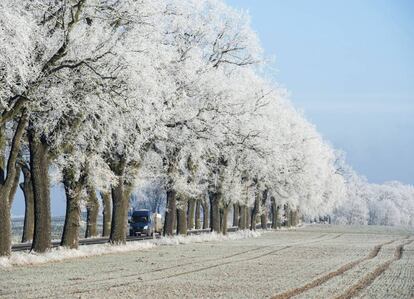 Una gruesa capa de escarcha cubre el campo cerca de Sieversdorf, Alemania.