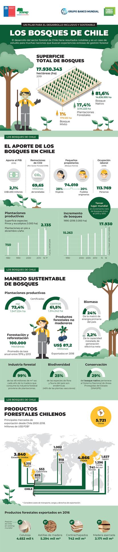 Los bosques respiran profundo y limpian a Chile