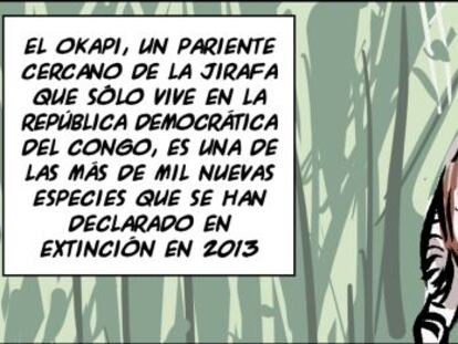 Ramón