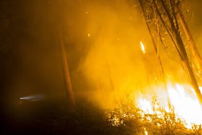 Miembros de protección civil de Vilagarcia luchan contra el fuego declarado en la zona de Castrogudin a las afueras de Vilagarcia (Galicia).