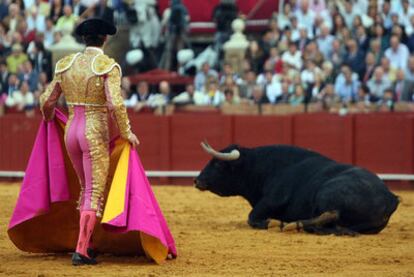 Daniel Luque intentando que se levante uno de los toros de ayer.