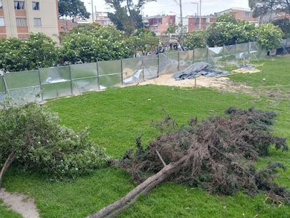 Cada uno de los 14 árboles derribados esta semana pertenecía a un parque público en el suroccidente de Bogotá.