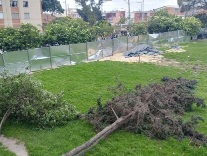 Cada uno de los 14 rboles derribados esta semana perteneca a un parque pblico en el suroccidente de Bogot.