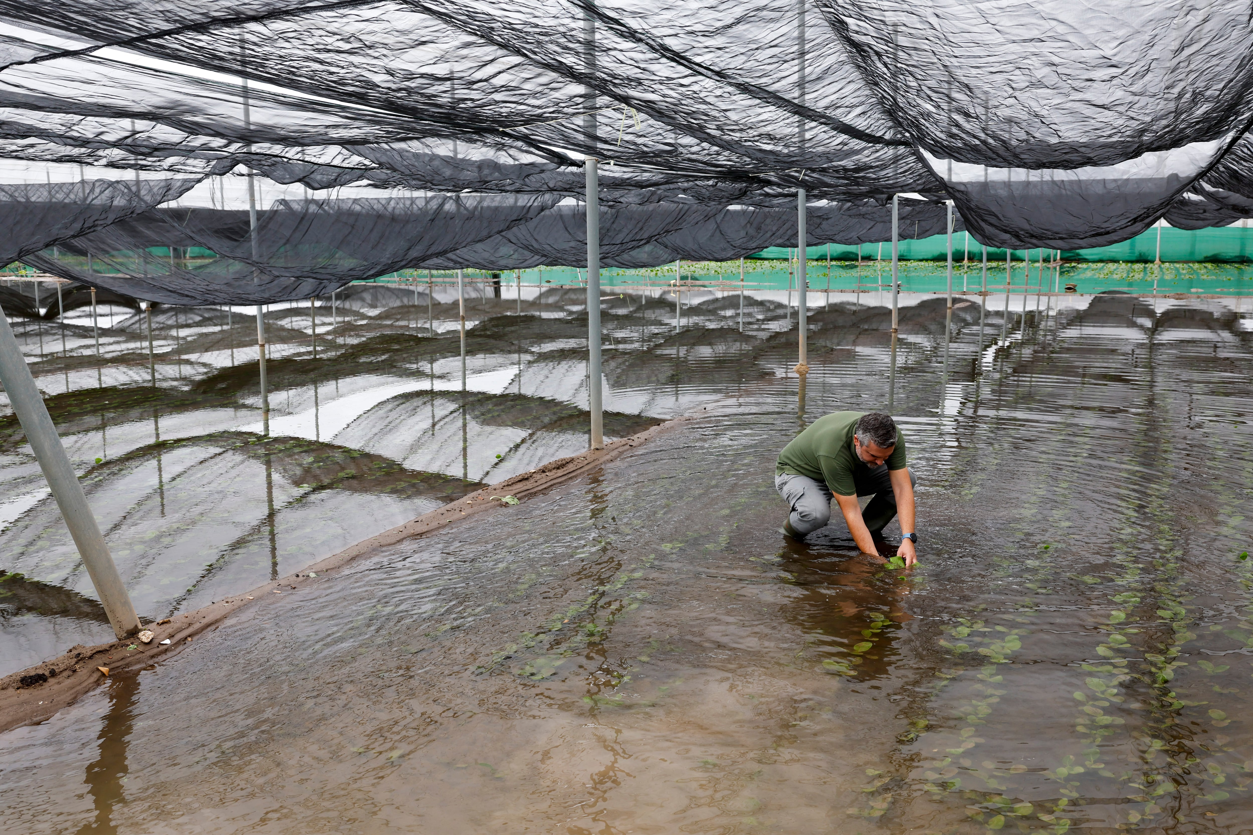 Recórd de lluvia en El Perelló (Valencia): 213 litros el lunes