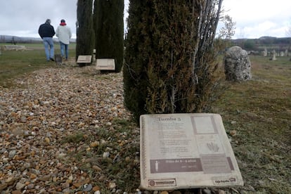 Una de las placas que señalan el tipo de enterramiento investigado, en esta caso de un niño, y un ciprés que recuerda al fallecido.