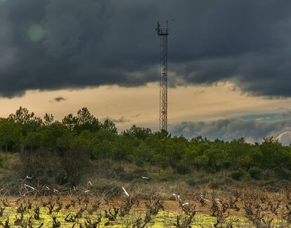 Las viñas de la Bodega de La Loba delante de la antena que las ha modernizado.