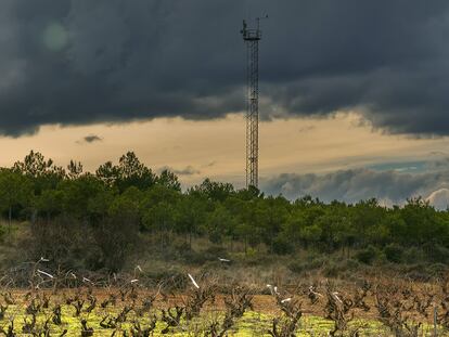 Las viñas de la Bodega de La Loba delante de la antena que las ha modernizado.