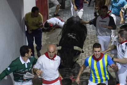 Uno de los toros de la ganadería de Puerto de San Lorenzo a su entrada a la plaza de toros de Pamplona.