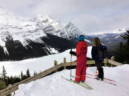 Mirador del lago Peyto.