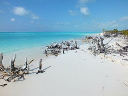 Playa Paraíso, en Cayo Largo (Cuba) es la cuarta playa más bonita del mundo.