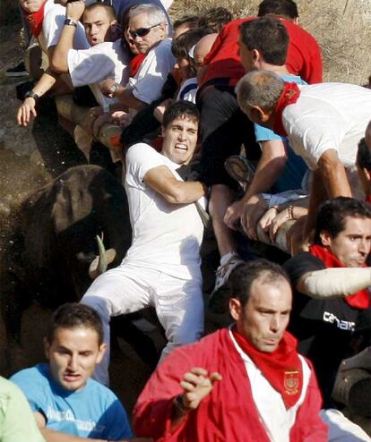 Un mozo en apuros con una de las vaquillas del sexto encierros del Pilón celebrado hoy en Falces (Navarra).