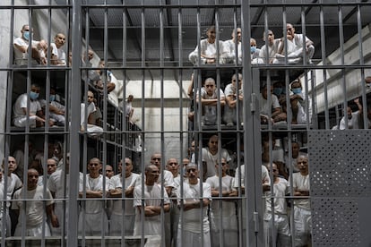 It never gets dark at Cecot. Artificial light fills the cells and the interior patio 24 hours a day. Prisoners sleep on the metal sheeting of iron beds that are stacked up to the ceiling. In the photo, inmates are seen inside a Cecot cell.