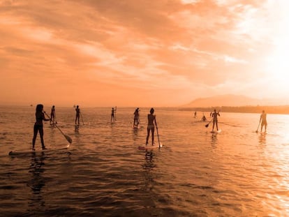 Un grupo de j&oacute;venes practica paddle surf en la costa de M&aacute;laga.