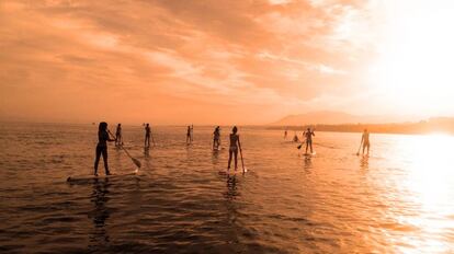 Un grupo de j&oacute;venes practica paddle surf en la costa de M&aacute;laga.