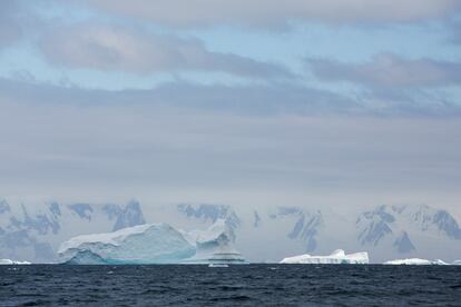 Icebergs na Antártida