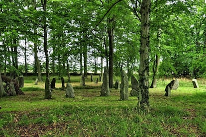 Louisenlund, en la isla de Bornholm, congrega una de las mayores colecciones de megalitos de Dinamarca, aunque no han sido investigados arqueológicamente. Alrededor de 50 se yerguen entre los árboles formando un paisaje muy especial de madera y piedra. La mayoría ronda los 2,5 metros de altura y no presentan ninguna inscripción. Se alzan solos o formando pequeños grupos en montículos del terreno o sobre tumbas que guardan restos de huesos quemados: parece que colcoar un monolito montando guardia sobre una tumba era una práctica habitual durante la Edad del Bronce y la Edad del Hierro tardío.