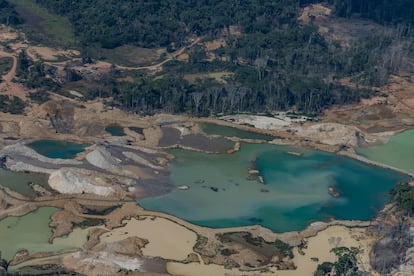 Amazonas Brasil