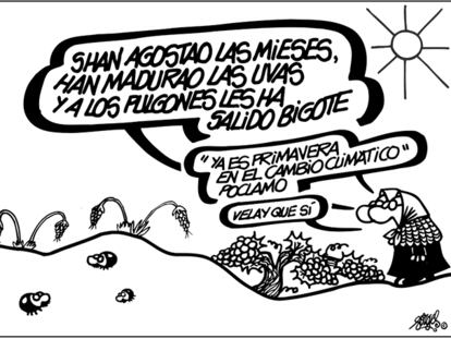 FORGES