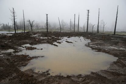 Charcos de lluvia donde se encontraba el barrio de Fountaingrove, arrasado por el fuego en diciembre, en Santa Rosa, California, tras las lluvias torrenciales el 8 de enero de 2018.