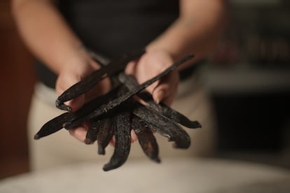 Las vainas de vainilla pompona, más largas y gruesas que otras variedades, producen mayor cantidad de caviar tras el proceso de curado. 