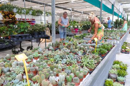 Los viveros o 'gardens' buscan cada vez más adaptadas a la falta de agua en el Mediterráneo