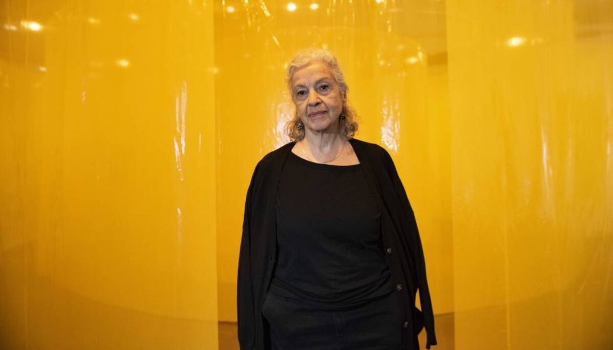 Àngels Ribé, Premio Nacional de Artes Plásticas 2019 | Cultura | EL PAÍS