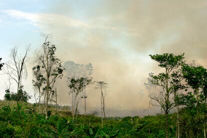 En esta fotografía de archivo del 30 de abril de 2009, el humo sale de un incendio forestal cerca del bosque natural Bukit Tiga Puluh en Riau, isla de Sumatra, Indonesia.