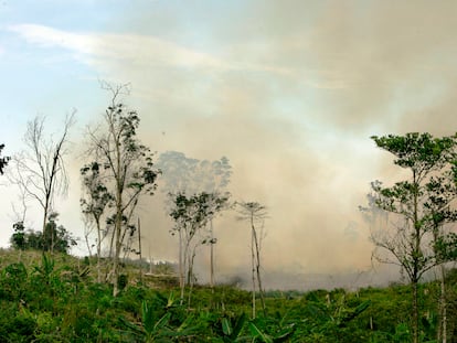 En esta fotografía de archivo del 30 de abril de 2009, el humo sale de un incendio forestal cerca del bosque natural Bukit Tiga Puluh en Riau, isla de Sumatra, Indonesia.