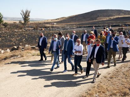 Pedro Sánchez, en el centro de la imagen, en su visita a parte de la zona afectada por los incendios en la provincia de Ávila.