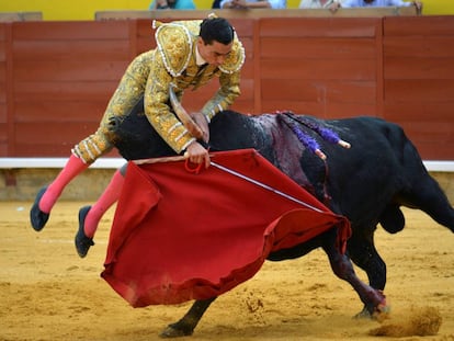 Momento de la cogida de Paco Ureña en Palencia.