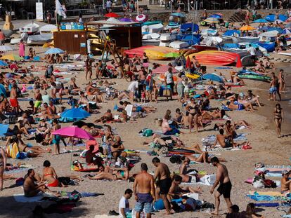 Ambiente en la playa de Tamariu.